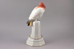 figurine, Parrot, porcelain, Germany, Rosenthal, hand-painted, the 30-40ties of 20th cent., h 25.2 c...