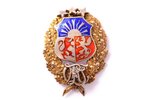 badge, VRT, Riga Technical College, Latvia, 20-30ies of 20th cent., 43 x 31.5 mm, 11.46 g, with a bo...