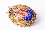 badge, VRT, Riga Technical College, Latvia, 20-30ies of 20th cent., 43 x 31.5 mm, 11.46 g, with a bo...