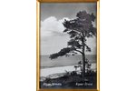 postcard, Rīgas jūrmala, Latvia, 20-30ties of 20th cent., In a museum-quality frame (30х30 cm)...