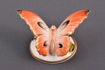 figurine, Butterfly, porcelain, Riga (Latvia), USSR, Riga porcelain factory, the 50ies of 20th cent....