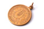 medal, IV Latvian Song festival in Jelgava, bronze, Latvia, Russia, 1895, 36 x Ø 30.2 mm, 12.45 g...