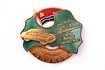 badge, Excellent driver, Latvian Ministry of Road Transport and Highways, Latvia, USSR, 32 x 34 mm...
