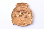 badge, Public Controller of the automobile technical condition, Nr. 17589, USSR, 32.9 x 29.5 mm, mis...