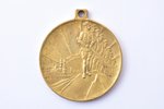 commemorative medal, 10th anniversary of the Latvian Republic's fight for liberation, Latvia, 1928,...