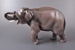 figurine, Elephant, porcelain, Riga (Latvia), M.S. Kuznetsov manufactory, 1937-1940, 18 (h) x 33 cm,...