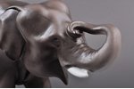 figurine, Elephant, porcelain, Riga (Latvia), M.S. Kuznetsov manufactory, 1937-1940, 18 (h) x 33 cm,...