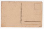 postcard, German occupation, Jelgava, Latvia, Russia, beginning of 20th cent., 13.8х8.8 cm...