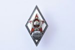 badge, Military institute, USSR, 46.8 x 26.2 mm, 18.48 g, micro chip of enamel on the surface of the...