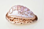 carved shell, "Memory of Odessa", Russia, 1904, 9.3 x 6.2 x 4.7 cm...