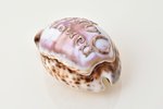 carved shell, "Memory of Odessa", Russia, 1904, 9.3 x 6.2 x 4.7 cm...