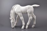 figurine, Grazing Foal, porcelain, USSR, LFZ - Lomonosov porcelain factory, molder - B.Y. Vorobyev,...