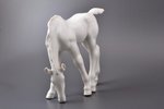 figurine, Grazing Foal, porcelain, USSR, LFZ - Lomonosov porcelain factory, molder - B.Y. Vorobyev,...