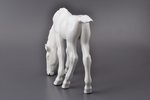 figurine, Grazing Foal, porcelain, USSR, LFZ - Lomonosov porcelain factory, molder - B.Y. Vorobyev,...