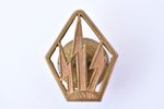 gorget patche, the Electrical Engineering Division, Latvia, 20-30ies of 20th cent., 30 x 23.7 mm...