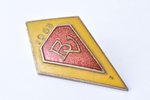 school badge, BV (secondary school), Latvia, USSR, 1963, 34 x 19.5 mm...