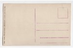 photography, Krustpils palace, Latvia, 20-30ties of 20th cent., 13.5х8.5 cm...
