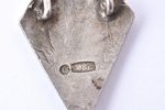 badge, BDBS, Bulduri Gardening School, silver, 875 standard, Latvia, USSR, 1944, 29.5 x 16.5 mm, 3.3...