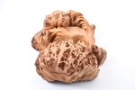 figurine, Portrait, wood, Riga (Latvia), sculpture's work "MZ", ~ 33 x 27 x 11 cm...