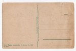 postcard, Russian types, Russia, beginning of 20th cent., 13.6х8.6 cm...