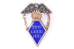 badge, Gymnasium of Riga (Д.М.Р.Г.), silver, gold, Latvia, 1921, 38 x 27 mm, 7.66 g...