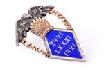badge, Gymnasium of Riga (Д.М.Р.Г.), silver, gold, Latvia, 1921, 38 x 27 mm, 7.66 g...