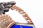 badge, Gymnasium of Riga (Д.М.Р.Г.), silver, gold, Latvia, 1921, 38 x 27 mm, 7.66 g...