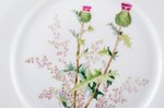 decorative plate, Thistle, porcelain, J. K. Jessen factory, hand-painted, Riga (Latvia), the 30ties...