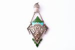 school badge, VMS, State Forestry School, silver, enamel, 875 standard, Latvia, 30-40ies of 20th cen...