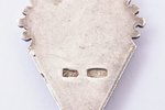 school jetton, SV, secondary school, XXIX graduation, silver, 875 standard, Latvia, USSR, 1972-1973,...