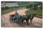 postcard, Russian types, Russia, beginning of 20th cent., 13.8х8.8 cm...