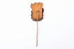 set: badge Ten-day Festival of Latvian Art and Literature in Moscow with an album (Latvian State Pub...