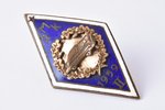 badge, RMK - Riga Training Combine, Latvia, USSR, 1959, 39.1 x 22.4 mm...