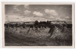 fotogrāfija, Carnikava, Latvija, 20. gs. 20-30tie g., 13.8х8.8 cm...