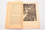 "Новый ЛЕФ", журнал Левого Фронта искусства, № 6, обложка А.М. Родченко, 1928 g., Государственное из...