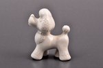 statuete, Pūdelis, porcelāns, Rīga (Latvija), PSRS, Rīgas porcelāna rūpnīca, 20. gs. 80-90tie gadi,...