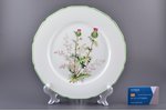 dekoratīvs šķīvis, Dadzis, porcelāns, J. K. Jessen rūpnīca, roku gleznojums, Rīga (Latvija), 20 gs....