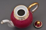 tējkanna, porcelāns, M.S. Kuzņecova rūpnīca, Rīga (Latvija), 1934-1936 g., h (ar vāku) 14 cm, otrā š...