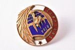 знак, Чемпион, латунь, Латвия, СССР, 50-е годы 20го века, Ø 23.3 мм...