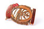 знак, Отличный паровозник, СССР, 38.5 x 26.7 мм, чешуйчатый скол эмали...
