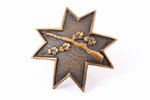 миниатюрный знак, Aizsargi (Защитники), стрельба, Латвия, 20е-30е годы 20го века, 29.3 x 28.9 мм, 4....