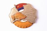 знак, Отличный шофер, Министерство дорожного транспорта и шоссейных дорог Латвии, Латвия, СССР, 30.5...