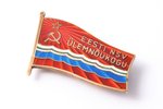 знак, Депутат Верховного Совета Эстонской ССР 10-го созыва, № 204, серебро, СССР, Эстония, 30.5 x 26...