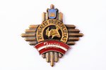 знак, 2-я пожарная часть Земгальского предместья, Латвия, 90-е годы 20-го века, 53.8 x 53.3 мм, 22.3...