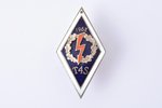 знак, T4S, 4-я Техническая школа, белый металл, Латвия, СССР, 1962 г., 43.6 x 23.3 мм...