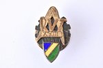 школьный жетон, RVT, серебро, Латвия, 1948 г., 22.3 x 14.1 мм, 2.73 г...