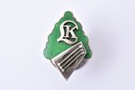 знак, Латвийская консерватория, серебро, эмаль, Латвия, 20е-30е годы 20го века, 26.5 x 18.5 мм...