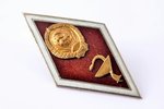 знак, об окончании медицинского ВУЗа, СССР, 49.4 x 27 мм, Рижское производство...