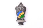 знак, RVT, Рижский Государственный техникум, серебро, Латвия, 20е-30е годы 20го века, 27.3 x 12.8 мм...