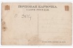 фотография, Архангельск, Российская империя, начало 20-го века, 14х8.6 см...